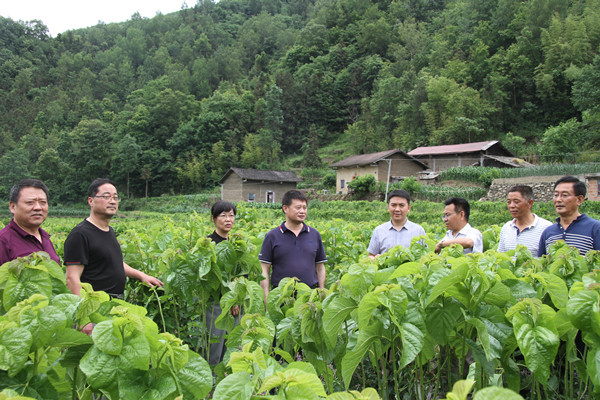 安康市商務(wù)局領(lǐng)導(dǎo)來我公司調(diào)研春蠶收購及扶貧點蠶?；亟ㄔO(shè)情況